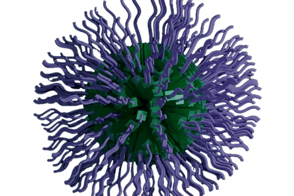 polymer-nanoparticle-_1_